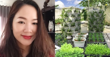 Mẹ 8X ở Sóc Trăng đầu tư 100 triệu đồng làm vườn trồng rau sạch