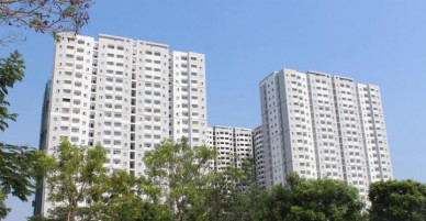 Nhờ sống ở chung cư bình dân mà tôi tìm được lối thoát khi thất nghiệp