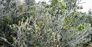 Chuyên gia khí tượng nhận xét gì về đợt rét lần này ở miền Bắc?