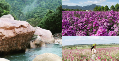 Những địa điểm du xuân mới nổi cho ngày đầu năm