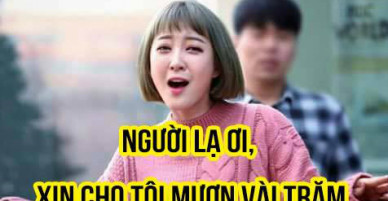 Ảnh chế Người lạ ơi phủ sóng cộng đồng mạng