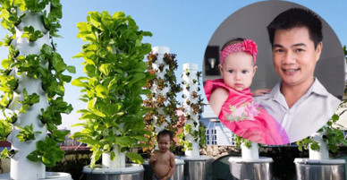 Ông bố kỹ sư tự chế tháp trồng rau kết hợp bể cá trên sân thượng