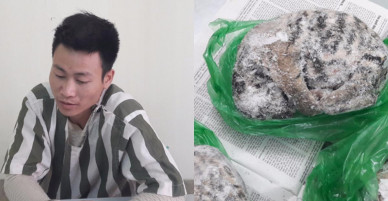 Khởi tố 9X vận chuyển 5 cá thể “chúa sơn lâm”