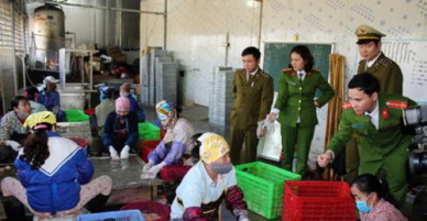 Thanh Hóa thu giữ gần 300 kg nội tạng động vật bốc mùi hôi thối