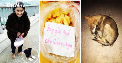 Bản tin cho tâm hồn: Cô gái tặng cụ già đôi dép ấm chân, những món quà của ngoại và chuyện ‘nhặt chó’