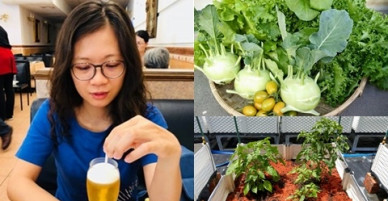 Nàng dâu Việt tại Đài Loan trồng đủ loại rau trên mảnh vườn nhiều sỏi, đá