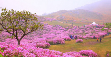 Cảnh đẹp ở quê hương HLV Park Hang-seo