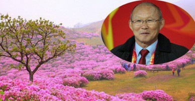 Thì ra vị HLV đáng kính của U23 Việt Nam Park Hang Seo từng sinh ra và lớn lên ở một vùng quê đẹp và yên bình đến vậy