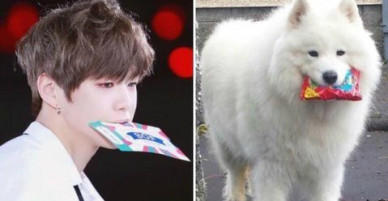 Lật tẩy thói quen khiến Kang Daniel có biệt danh cún con