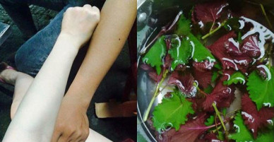 Da toàn thân trắng đến phát sáng gấp 100 lần dùng kem trộn khi đun lá tía tô rồi tắm theo cách này
