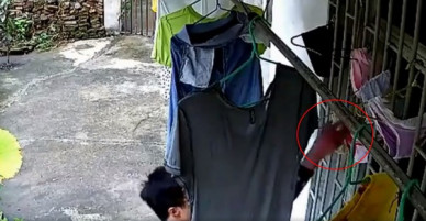 Clip: Nam thanh niên bảnh bao lẻn vào nhà trộm đồ lót phụ nữ giữa ban ngày, bị camera quay lại mà không hề hay biết