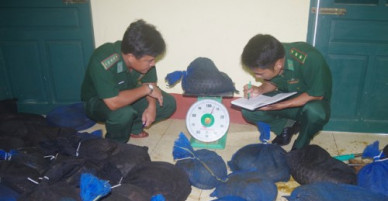 Vụ vận chuyển số lượng lớn động vật hoang dã: Bất cập hồ sơ lô hàng