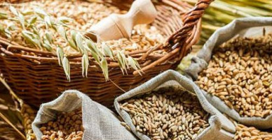 Người nguy cơ đột quỵ: Giảm chất béo hay giảm carbs?