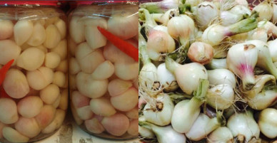 [Chế biến] – MÓN ĂN NGÀY TẾT: Cách muối hành trắng tinh không váng, giòn vô địch