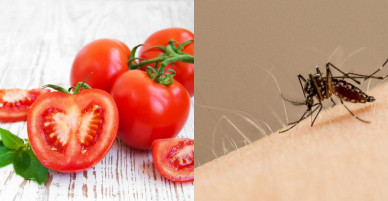 Cách trị sẹo thâm ở chân bằng nguyên liệu từ thiên nhiên!