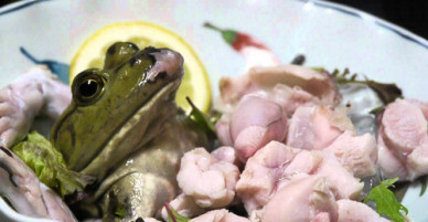 7 món sashimi không làm từ cá của người Nhật