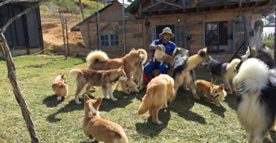 Khu vườn thú cưng ở Đà Lạt