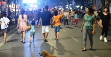 Hà Nội: Muốn nuôi chó phải đăng ký với chính quyền