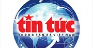 Cần xác định trồng cây xanh là việc làm quan trọng, cần thiết và cấp bách
