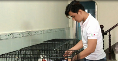 Ngày Tết, chủ về quê, chó ra khách sạn ở