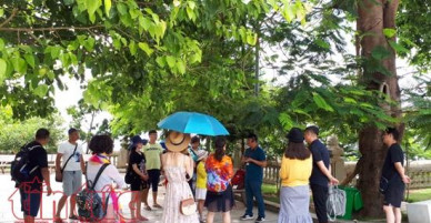 Thủ tướng yêu cầu nghiên cứu, xử lý thông tin phản ánh trên báo chí