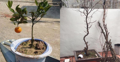 Năm chó khó quá hay sao mà nhăn nhó thế này