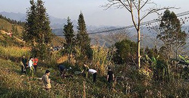 Khống chế đối tượng bị truy tìm trong vụ án giết người, chiến sỹ Công an anh dũng hy sinh