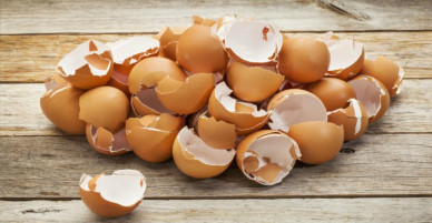 Vỏ trứng gà tưởng như vô dụng nhưng thực ra chữa được cả tá bệnh khác nhau