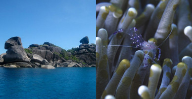 5 hòn đảo tuyệt vời cho kỳ nghỉ trong mơ ở Phuket