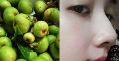 Đừng vội vứt sung chưng Tết đi, đây là 'thần dược' làm đẹp da tự nhiên tại nhà cực hiệu quả