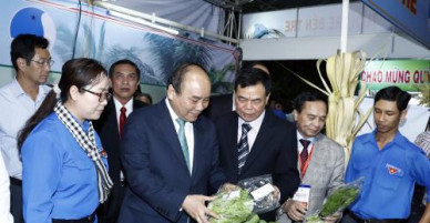 Chính phủ kiến tạo thổi bùng ngọn lửa khởi nghiệp