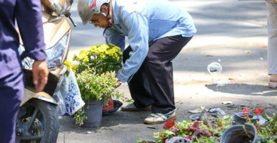 Người dân hào hứng lựa những chậu hoa tươi đem về nhà sau khi bế mạc Hội hoa xuân ở Sài Gòn