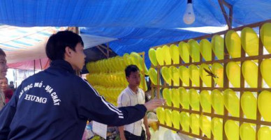 Trò chơi ăn tiền hoạt động công khai tại chợ Viềng