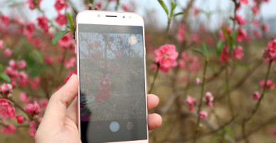 Galaxy J7 Pro màu hồng cho phái đẹp