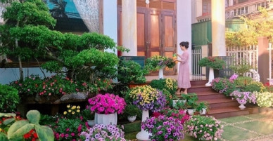 Biệt thự phủ kín hoa dạ yến thảo, triệu chuông của bà nội trợ ở Đắk Lắk