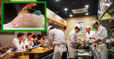 Nhà hàng Nhật Bản Omakase - nơi thực khách không được quyền chọn món