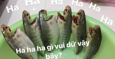 Full câu chuyện Gia đình cá chiên đang khiến cư dân mạng phát sốt phát rét vì quá sáng tạo