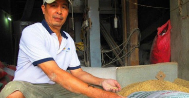 Một túi vàng bỏ quên trong bao lúa, nhiều người nhận là chủ nhân