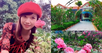 Hoa hồng ngập lối vào ngôi nhà của cô giáo dạy Toán ở Thanh Hóa