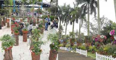 Treo biển cấm ngắt hoa, bẻ cành trước giờ lễ hội hoa hồng khai mạc