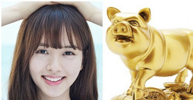 Vận mệnh người tuổi Hợi năm 2018