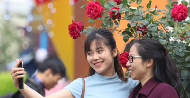 Đón gió mùa, Bắc Bộ lạnh đến cuối tuần
