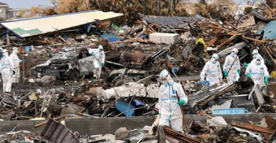 Thực tập sinh Việt tố công ty Nhật lừa tới Fukushima khử nhiễm phóng xạ
