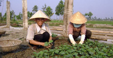 Tăng quyền, lợi ích cho phụ nữ nông thôn