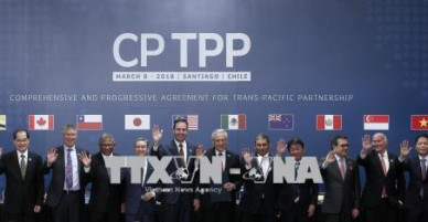 Ngân hàng Thế giới: CPTPP sẽ mang lại nhiều lợi ích kinh tế to lớn cho Việt Nam