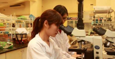 Khó hút thí sinh giỏi vào sư phạm