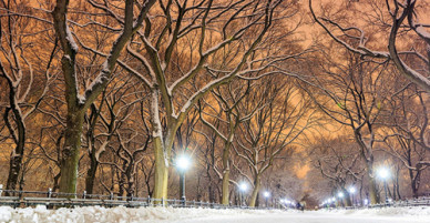 Những trải nghiệm không thể bỏ lỡ khi trời lạnh ở New York