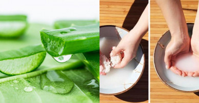 4 công thức tự làm mặt nạ nha đam ngay tại nhà giúp nàng dưỡng da hiệu quả