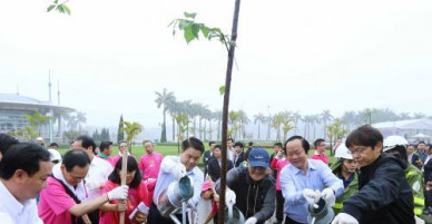 Thêm 500 cây hoa anh đào được trồng tại Công viên Hòa Bình, Hà Nội