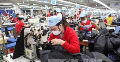 Chính phủ hành động để CPTPP nhanh chóng đi vào cuộc sống